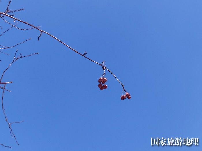 新疆福海：共赴一场春暖花开，摄影胡玉萍8