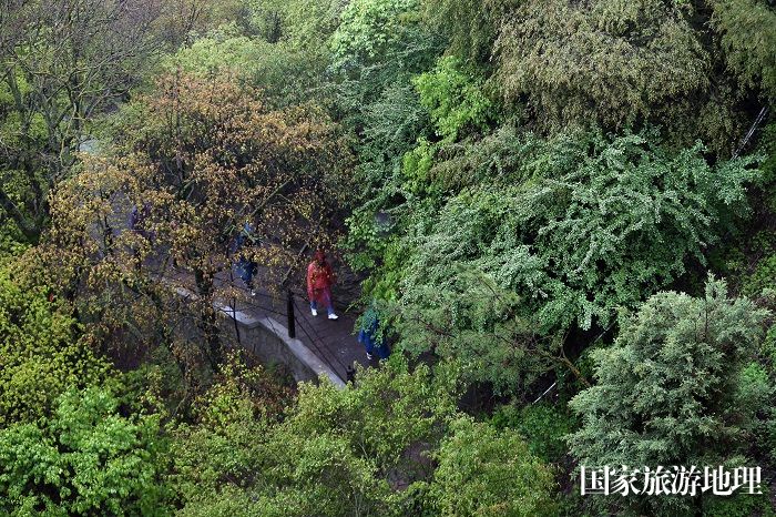 08——5月10日，游客在雨中的甘肃省平凉市崆峒山游览。