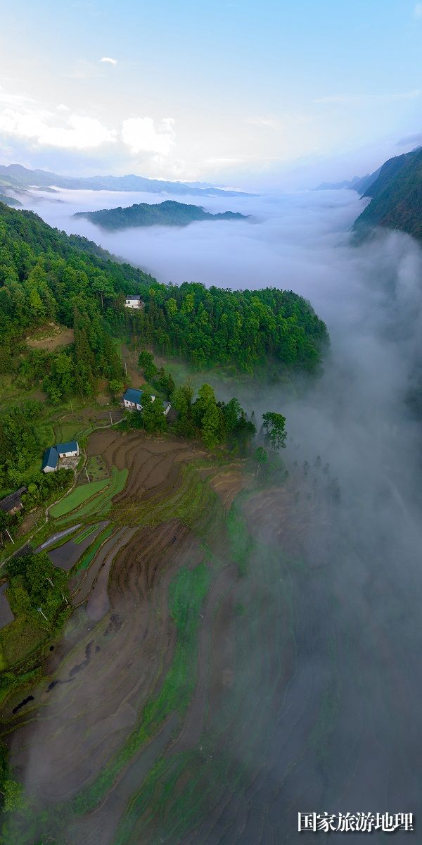 长岭云海竖幅