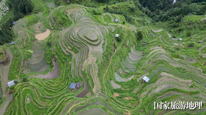 2023年6月19日，在贵州省黔东南苗族侗族自治州从江县加榜乡加车村拍摄的梯田景色。  (5)