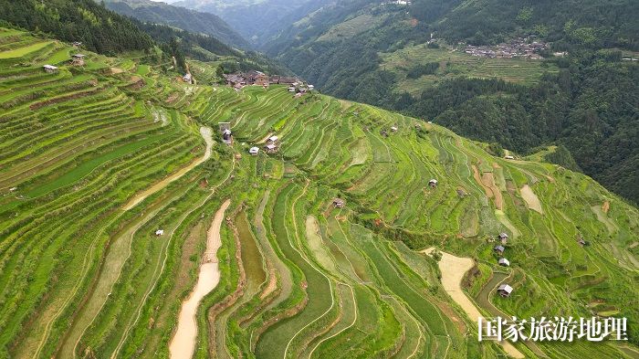 2023年6月19日，在贵州省黔东南苗族侗族自治州从江县加榜乡加车村拍摄的梯田景色。  (8)