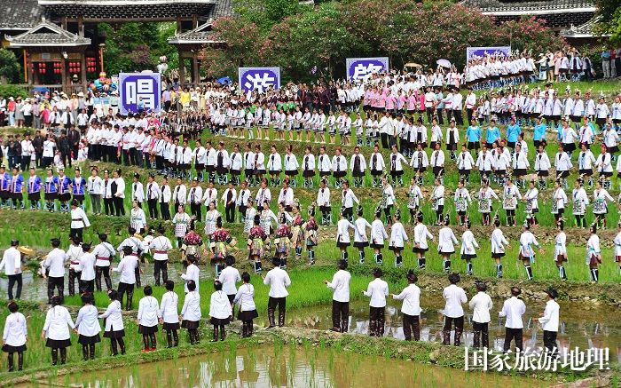 2023年6月10日，侗族群众在贵州省黎平县肇兴侗寨的田园中演唱侗族大歌。 (11)