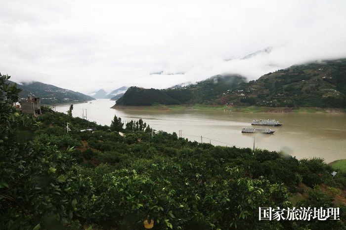 《三峡黄金水道游轮比翼双飞》。2023年6月18日，摄于巫山长江段。唐金生  17784436870