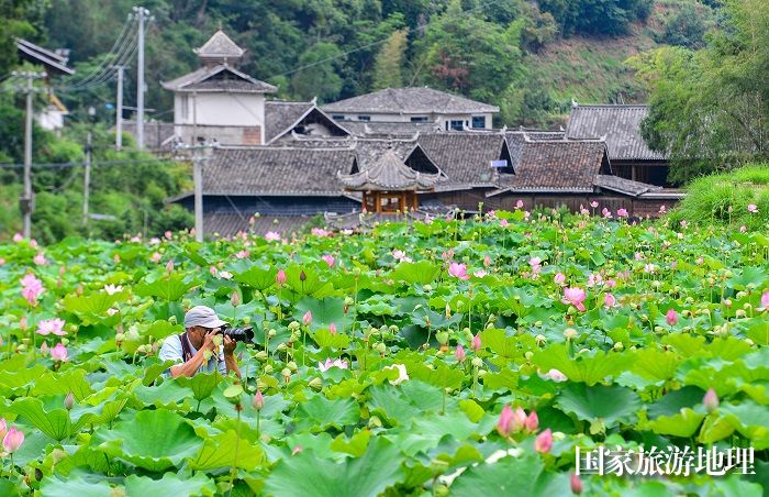 2023年7月1日，游客在贵州省从江县洛香镇四联村的荷塘里赏荷拍照。 (4)