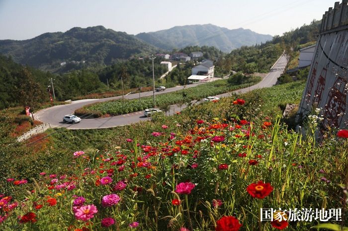 图3：渝东门户巫山渝鄂美丽的省际道鲜花遍地。2023年8月18日，摄于重庆巫山红椿土家族乡。唐金生