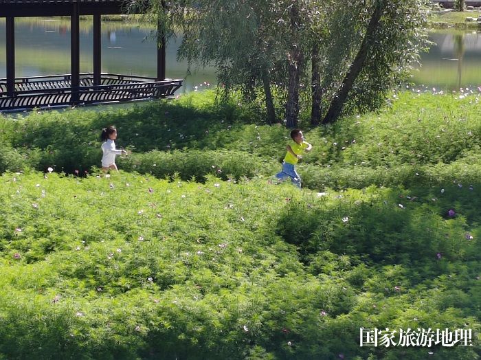 花海追逐