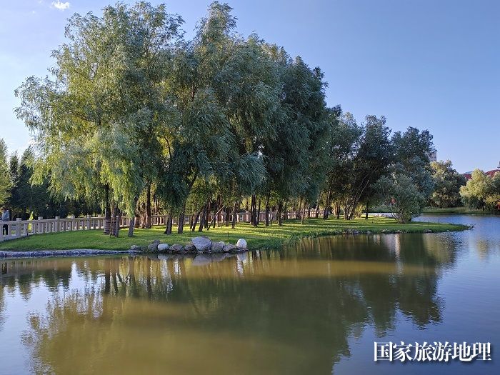 杨柳岸