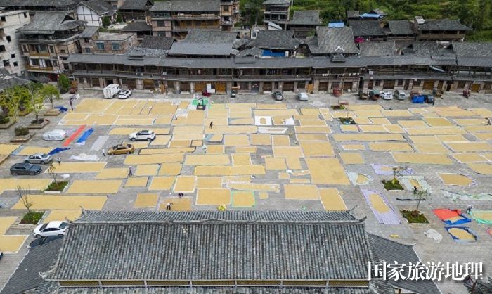 2023年9月18日，贵州省从江县高增乡小黄侗寨村民在晾晒稻谷。 (19)