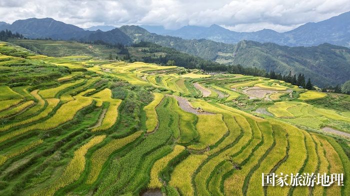  2023年9月17日，在贵州省黔东南苗族侗族自治州从江县翠里乡岑丰村拍摄的梯田风光。 (1)