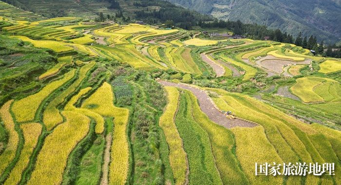  2023年9月17日，在贵州省黔东南苗族侗族自治州从江县翠里乡岑丰村拍摄的梯田风光。 (2)