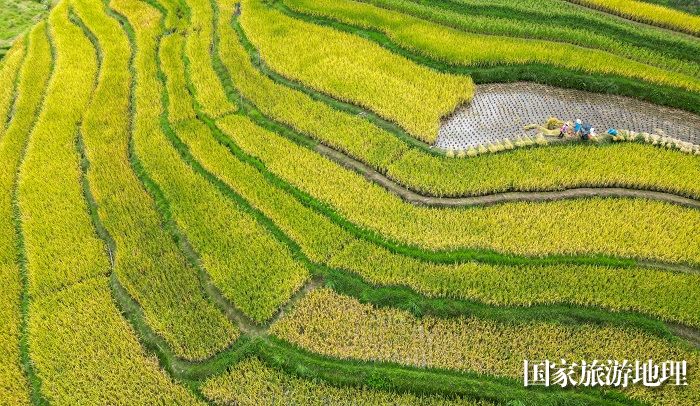  2023年9月17日，在贵州省黔东南苗族侗族自治州从江县翠里乡岑丰村拍摄的梯田风光。 (5)