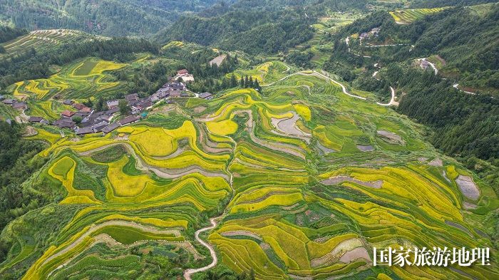  2023年9月17日，在贵州省黔东南苗族侗族自治州从江县翠里乡岑丰村拍摄的梯田风光。 (10)