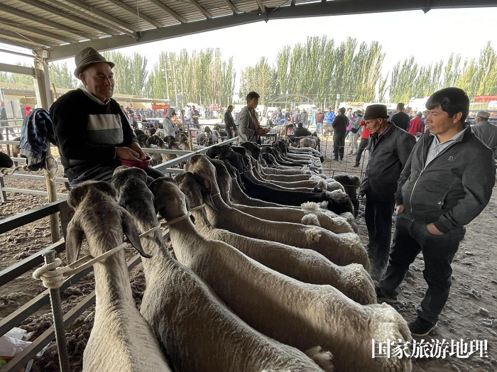 图片8