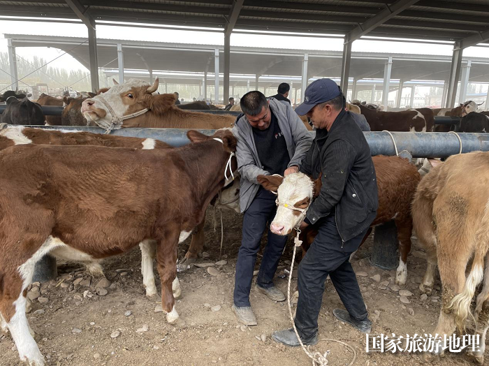 图片9
