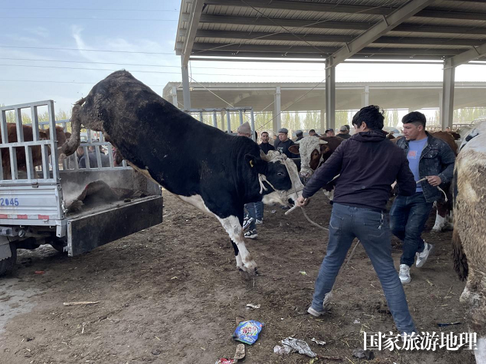 图片11