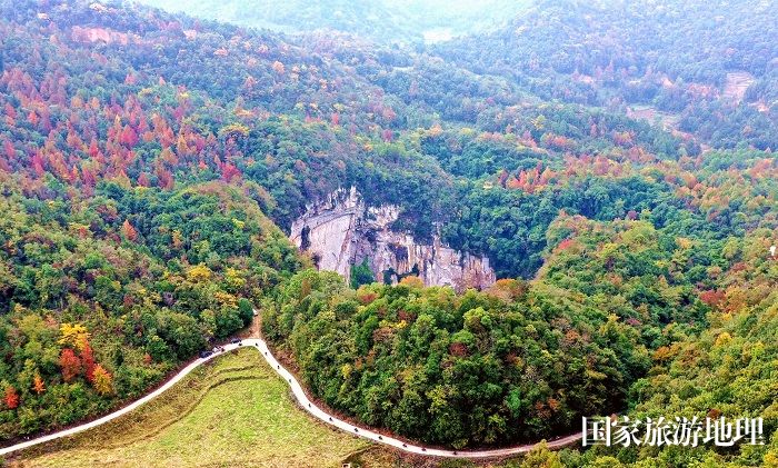 11月24日，广西雅长兰科植物国家级自然保护区黄猄洞天坑周边斑斓如画。（高东风）