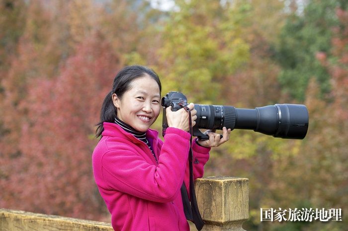 11月24日，摄影爱好者在广西雅长兰科植物国家级自然保护区黄猄洞天坑拍摄红枫叶。（何华文）