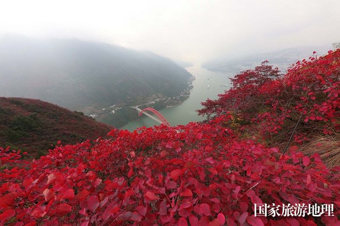 图2：游高峡平湖，赏巫山红叶。2023年11月26日，摄于重庆巫山高峡平湖。唐金生