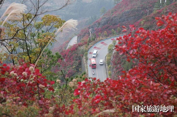 图5：四农村路车辆运行在彩霞中。2023年11月24日，摄于重庆巫山紫阳坡。唐金生。