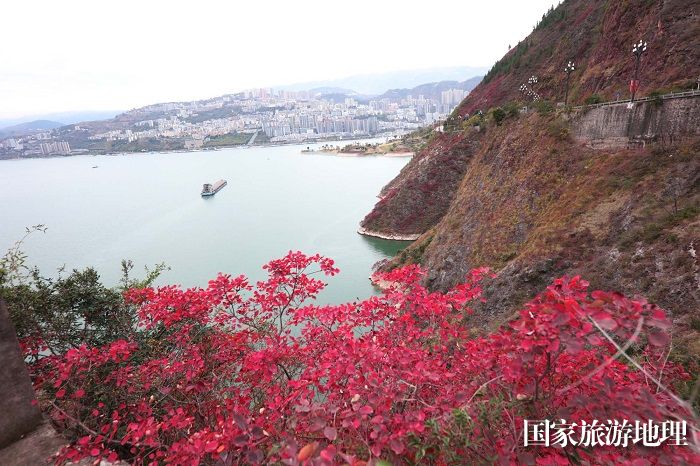图9：物流船安畅航行在高峡平湖。2023年12月11日，摄于重庆巫山巫峡口。唐金生