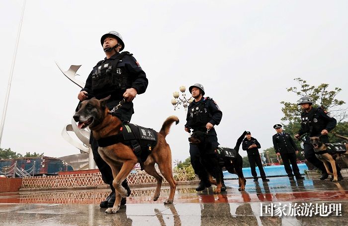 图13：1月7日，在广西柳州市融安县长安广场，训导员携带警犬参加警营开放日活动表演。（谭凯兴 摄）