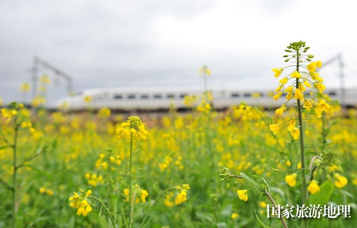 2024年2月4日，一列动车组列车在贵广高铁贵州省从江县洛香镇段附近行驶。 (3)