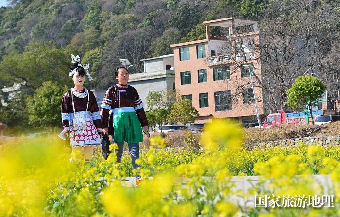 2024年2月12日，游客在贵州省从江县洛香镇上皮林村油菜花田间踏青游玩。  (6)