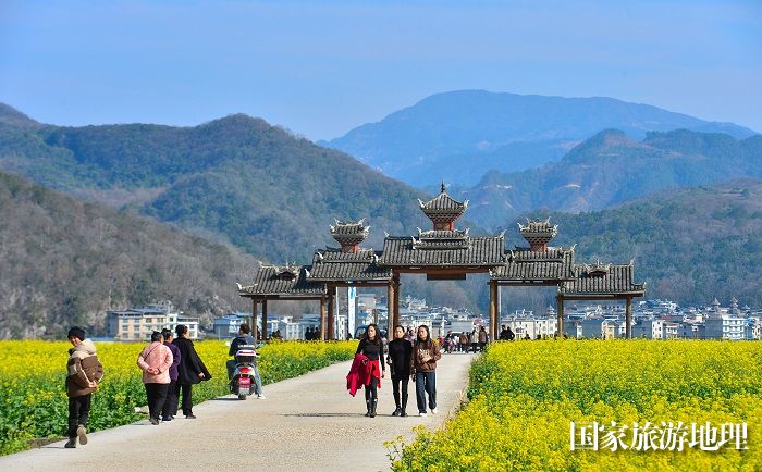 2024年2月12日，游客在贵州省从江县洛香镇上皮林村油菜花田间踏青游玩。  (7)