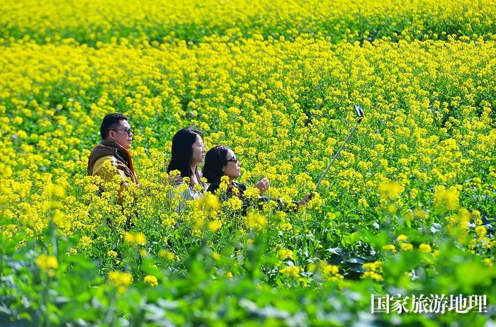 2024年2月12日，游客在贵州省从江县洛香镇上皮林村油菜花田间踏青游玩。  (9)