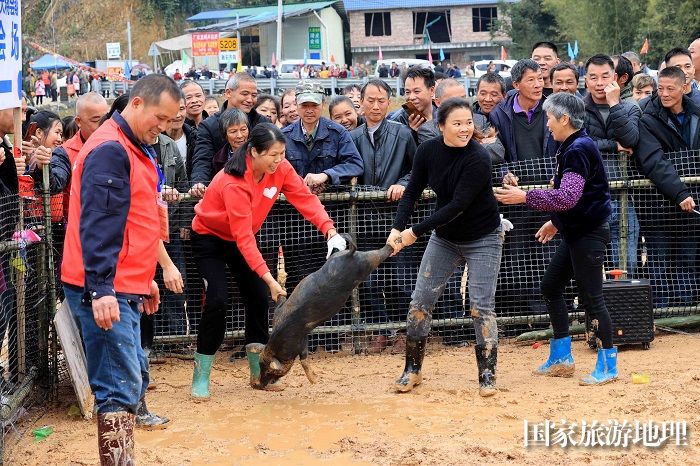 图4：3月13日，在广西柳州市融安县大将镇二月初四传统会期上，人们在参加“抢金猪”民俗活动。（谭凯兴 摄）