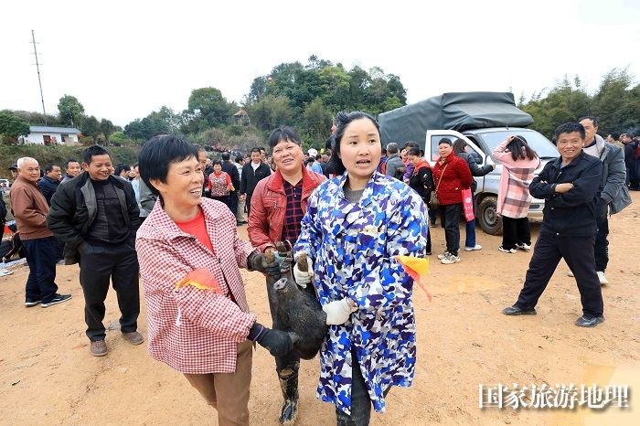 图6：3月13日，在广西柳州市融安县大将镇二月初四传统会期上，人们在参加“抢金猪”民俗活动。（谭凯兴 摄）