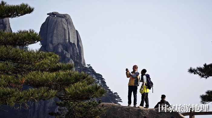 3月12日，游人安徽黄山观赏奇峰青松