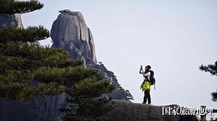 3月12日，游人安徽黄山观赏奇峰青松。