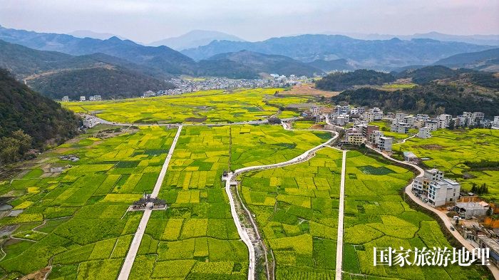 2024年3月9日，贵州省从江县洛香镇上皮林村，油菜花盛开，春意盎然。  (11)