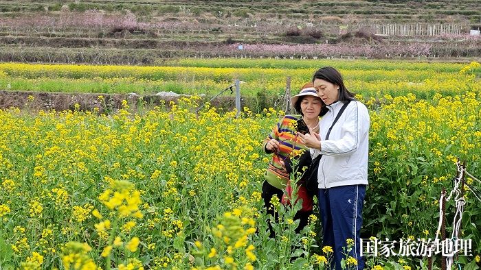 2024年3月21日，游人在江西婺源县篁岭风景区观赏油菜花。廖祖平摄