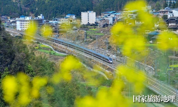 2024年3月19日，一列动车组列车在贵广高铁贵州省从江县洛香镇段附近行驶。 (2)