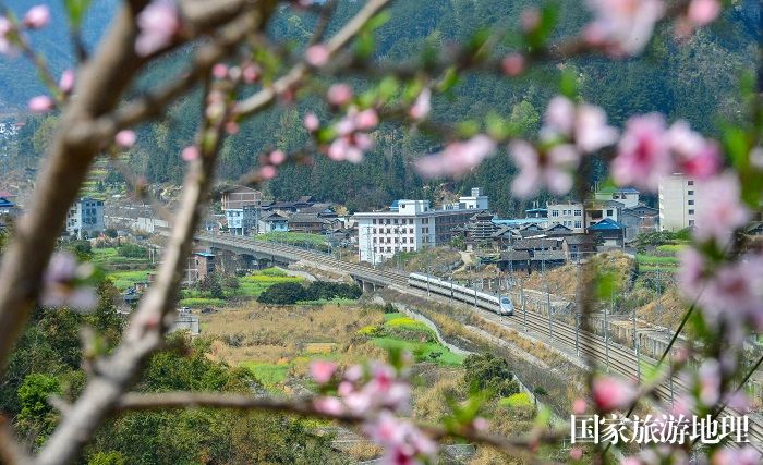 2024年3月19日，一列动车组列车在贵广高铁贵州省从江县洛香镇段附近行驶。 (11)