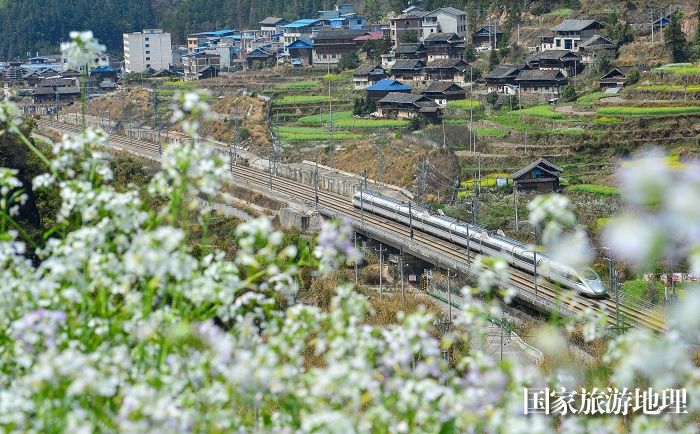 2024年3月19日，一列动车组列车在贵广高铁贵州省从江县洛香镇段附近行驶。 (17)