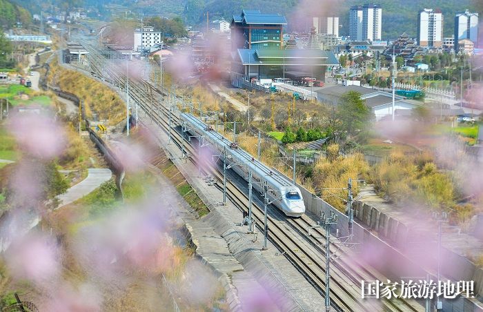 2024年3月19日，一列动车组列车在贵广高铁贵州省从江县洛香镇段附近行驶。 (24)