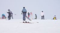 新疆阿勒泰：滑雪“天堂”（图）