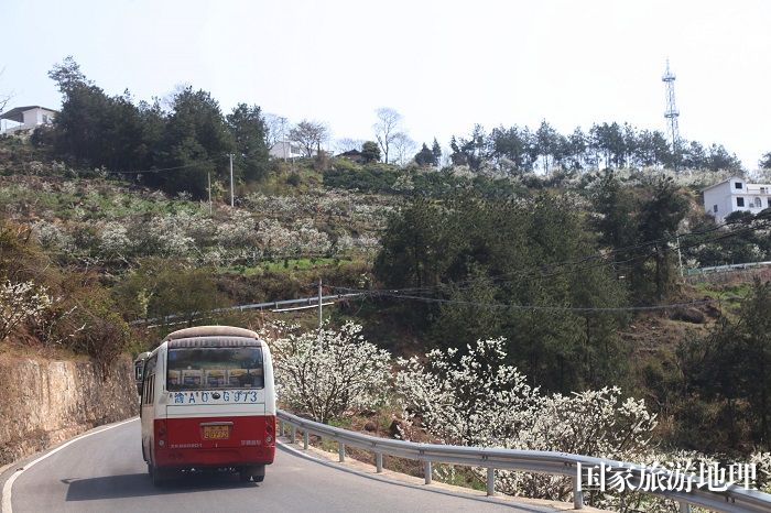 图3：农村中巴车畅通乡村旅游景区。2024年3月22日。重庆巫山巫曲路。唐金生