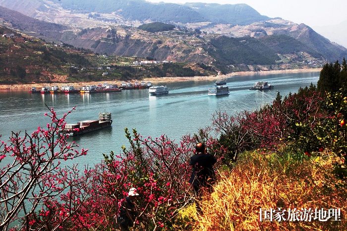 图1：喜逢盛世三峡黄金水道航运兴旺。2024年3月21日。重庆巫山长江段。唐金生