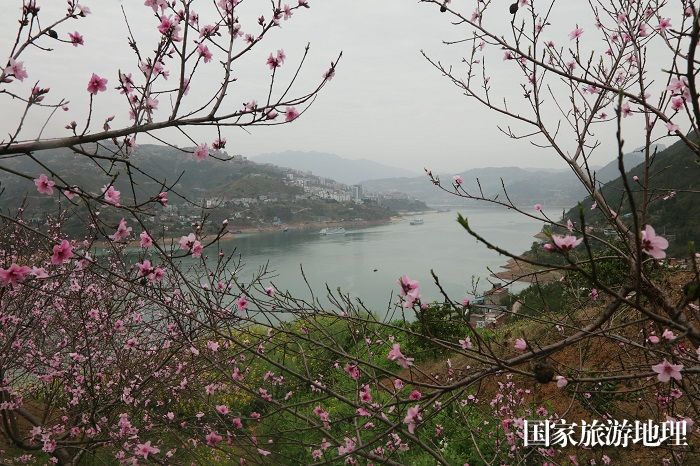图9：桃花源里山水之城风光美。2024年3月20日。重庆巫山。唐金生