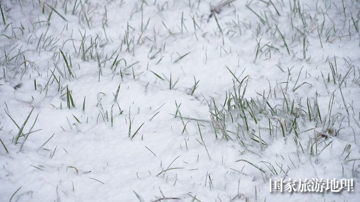 4月12日，阿勒泰市出现雨转冰雹转雪天气。 (3)