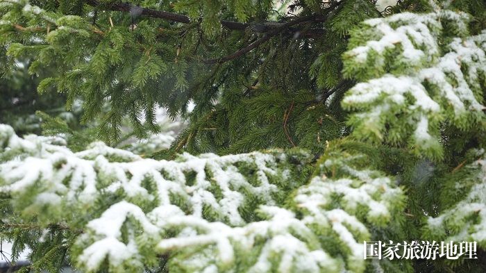 4月12日，阿勒泰市出现雨转冰雹转雪天气。 (4)