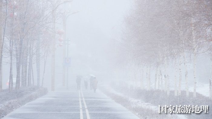 4月12日，阿勒泰市出现雨转冰雹转雪天气。 (6)