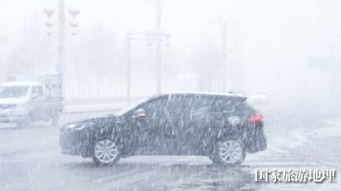 4月12日，阿勒泰市出现雨转冰雹转雪天气。 (9)