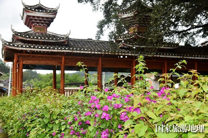 2024年4月18日，贵州省从江县西山镇陡寨村三角梅花带与风雨桥长廊交相辉映。