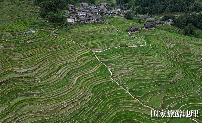 2024年7月7日，在贵州省黔东南苗族侗族自治州从江县刚边乡宰别村拍摄的梯田风光。 (14)