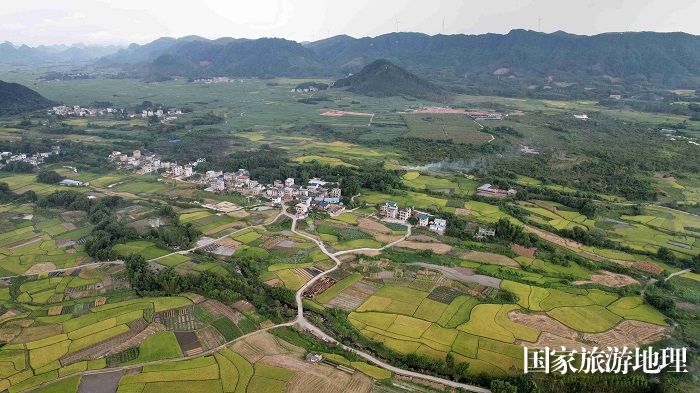 图5：7月18日，在广西柳州市融安县潭头乡新桂村拍摄的丰收田园。（无人机照片，谭凯兴 摄）